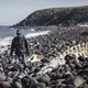 Delbert Pungowiyi heads back from the cliffs, where he and other Savoonga villagers have seen fewer sea birds. He’s walking past the skeleton of a minke whale on a beach that once had much more sand. As winter sea ice has receded, open-water storms increase erosion. Image by Steve Ringman. United States, 2019.