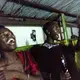Javan dances with friends at Ram, a bar in Kampala which hosted&nbsp;LGBTQ nights on Sundays and had&nbsp;become the de facto gay bar in the city. It closed a few months ago, leaving the city without any bars with openly LGBTQ nights.&nbsp;Image by Jake Naughton. Uganda, 2017.