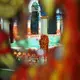 Looking through the jaali at the Matka Peer dargah in Delhi. Image by Nikhil Mandalaparthy. India, 2019.