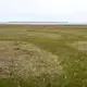 The coastal plain of the Arctic National Wildlife Refuge. Image by Nick Mott. United States, 2019.