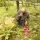 Duane Hanson enjoys a quick snack as harvests apples from his orchard at his homestead in T5 R7 in the Unorganized Territories on Sept. 17, 2019. Image by Michael G. Seamans. United States, 2019.