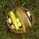 Cucumbers and squash sit in a homemade basket at the Hanson/Kwan homestead in T5 R7 in the Unorganized Territories on Sept. 17, 2019. Image by Michael G. Seamans. United States, 2019.