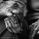 A half century of wedded life, raising children, teaching special needs children for 30 years wore these beautiful hands thin. Still there was strength for her man. Image by Bill Beckman.