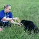 Using the food as a distraction, Beckles places her hand through the leash to loop it around the dog’s neck. Image by Jamie Holt. United States, 2019.