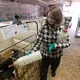 Maggie Breitenmoser, 14, feeds calves on her family's farm. Image by Mark Hoffman. United States, 2019.