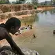 Locals depend on the Parguaza River for many uses, including swimming and bathing. Mining, however, commonly contaminates streams with mercury and other toxins, making them useless for drinking water, crop irrigation and recreation. Image by Bram Ebus. Venezuela, 2017.