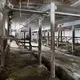 The barn is empty after the cows were loaded onto trailers. Image by Mark Hoffman. United States, 2019.