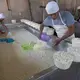 Workers fill tubs with fresh curds at a small dairy plant owned by Alvaro Gonzalez and his brother in Tizayuca, Mexico. The business employs 15 people who make cream and yogurt. Image by Mark Hoffman. Mexico, 2019.