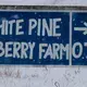 A sign directs motorists to White Pine Berry Farm outside of River Falls. Image by Mark Hoffman. United States, 2019.