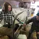 Maggie Breitenmoser, 14, feeds calves while talking her grandmother, Margaret, on her family's farm in Merrill. Image by Mark Hoffman. United States, 2019.