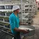 Workers carry tubs of milk that will be processed into cream at a small dairy plant owned by Alvaro Gonzalez and his brother in Tizayuca, Mexico. The business employs 15 people who make cream and yogurt. Image by Mark Hoffman. Mexico, 2019.