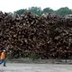 A worker walks past logs stacked at the Enviva plant in Northampton County, N.C. on Tuesday, Sept. 3, 2019. Enviva turns the logs into cylindrical pellets that will be burned for heat and electricity in Europe. Image by Ethan Hyman. United States, 2019.