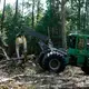 Trees cut down on a Wilson County farm are brought to a loading area Tuesday, Sept. 3, 2019. The cut trees are headed to the Enviva plant in Northampton County, N.C. Image by Ethan Hyman. United States, 2019.