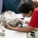 After a hands-on physical examination, the mother is moved to the X-ray room for preventative scans. Image by Jamie Holt. United States, 2019.