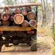 A member of the Prey Lang Community Rangers alongside a truck hauling timber from a protected forest area. Rangers do not have the authority to confiscate illegally harvested logs, but they monitor and report on such activity. Image by Sean Gallagher. Cambodia, 2020.