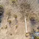 Aerial view of cut trees in the Beng Per Wildlife Sanctuary. Image by Sean Gallagher. Cambodia, 2020.<br />
