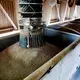 Processed wood pellets are loaded into a hopper at the Enviva plant in Northampton, N.C. Tuesday, Sept. 3, 2019. Enviva is the country’s largest producer of wood pellets. Image by Ethan Hyman. United States, 2019.