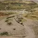 rought in Sikvand village in Khuzestan Province has forced shepherds to move their flocks in search of grassland. Many nomadic families are seeking a way of life that will allow their children to go to school. Image by Newsha Tavakolian. Iran, 2018.