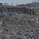Marabou storks perch on the ledge of the sprawling Dandora dump, the massive smoldering pile of garbage in the Korogocho slum of Nairobi. Image by Mark Hoffman. Kenya, 2017.