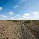 The Standard Gauge Railway, a Chinese-backed project connecting Kenya’s capital to coastal Mombasa, passes directly through Nairobi National Park. Image by Noah Fowler. Kenya, 2017.