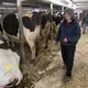 After milking for the final time, Marsha Ryan walks through the barn during an auction. Image by Mark Hoffman. United States, 2019.