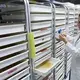 Leslie Russo feeds Aedes aegypti mosquitoes pupae, a solution made with beef liver. Image by Mark Hoffman. United States, 2017.