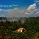 Scientists warn that decades of human activity and a changing climate has brought the jungle near a “tipping point.” Image by Sebastián Liste. Brazil, 2019.