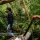 André and Daniel, two Karipuna tribespeople, on an expedition into their protected land to examine the damage from illegal loggers. Image by Sebastián Liste. Brazil, 2019.