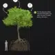 Image by Amanda Northrop / Vox.