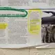 ASHEBORO, NORTH CAROLINA - A newspaper clipping features three Black Hawk helicopters that came to pick up the federal governments order of 250,000 Theramasks inside the Bossong Medical plant in Asheboro, NC on Thursday, July 16, 2020. The Bossong Medical plant in Asheboro contracted to make Nufabrx items. Image by Jeff Siner/The Charlotte Observer/North Carolina News Collaborative. United States, 2020.