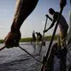 Fisherman on the Congo river, Kinshasa. Fishing is the principal activity that brings humans into contact with snakes in DRC. Snakes often are often caught in nets, or hunt for fish themselves in the water and on the shores. Image by Hugh Kinsella Cunningham. Congo, 2019.