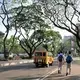 Ateneo’s solution: Build and maintain a network of wide sidewalks. Take care of old trees so that their canopy can shield the people who walk from the elements. Image by  Dinna Louise C. Dayao. Philippines, 2017. 