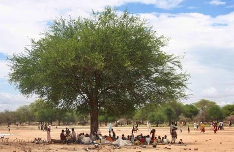 Image by Rebecca Hamilton. Sudan, 2011.
