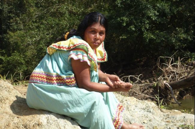 A woman from the Ngobe village of Nueva Lucha, one of several communities threatened by Canadian mining companies. The Ngobe are an indigenous people native to Panama. Image by Lynn Burgess. Panama, 2012. Media file: woman_from_nueva_lucha.jpg